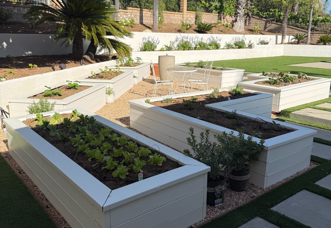 Raised garden beds and landscaping maintenance by Oasis Tree & Outdoor Services